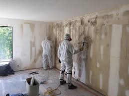 Best Attic Mold Removal in Collinsville, CT